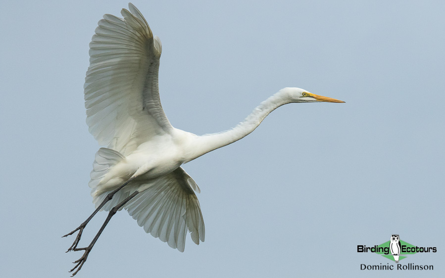 Norfolk coast day tours