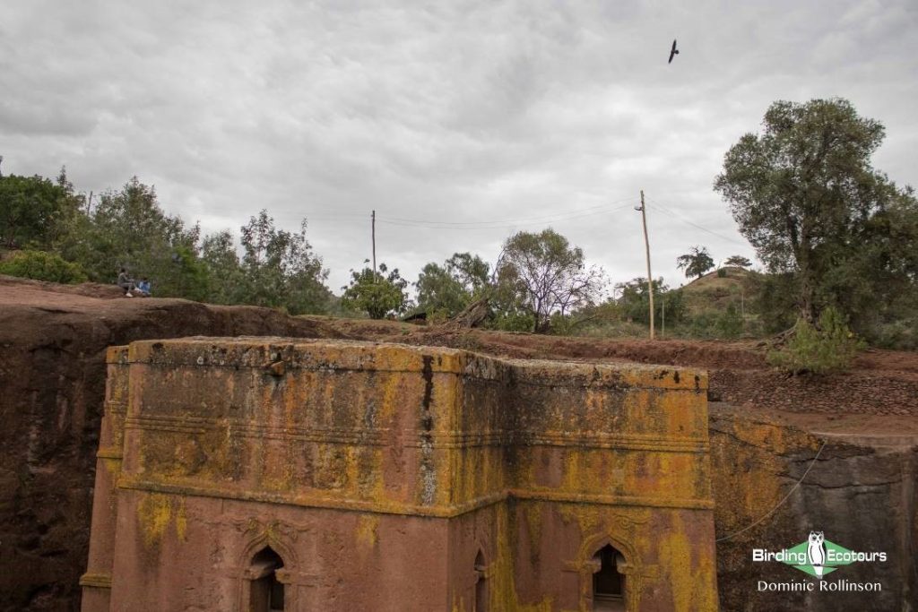 Lalibela historical tours