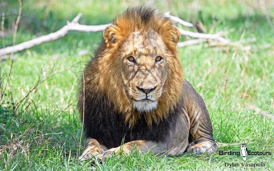 South African photographic tour