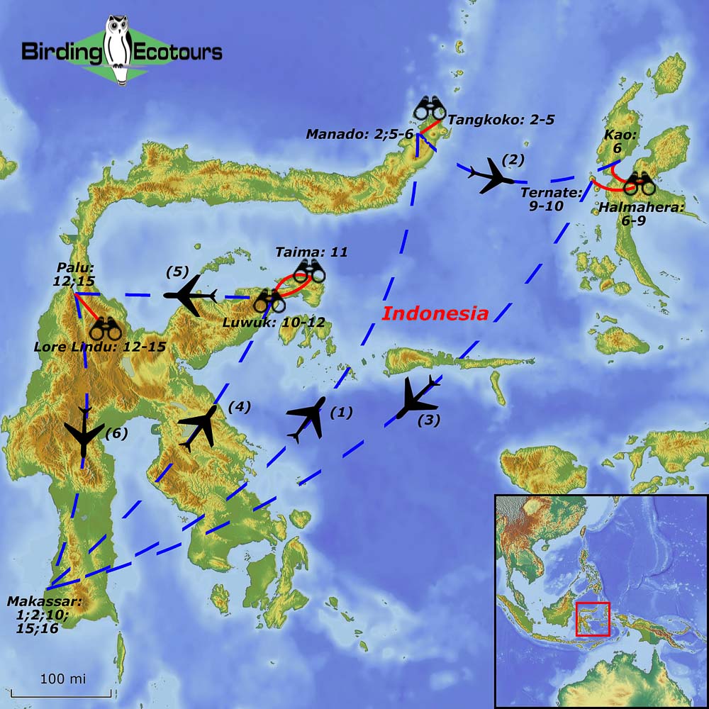 Map of birding tour in Indonesia: Sulawesi & Halmahera – Spectacular Endemic Birding July 2025