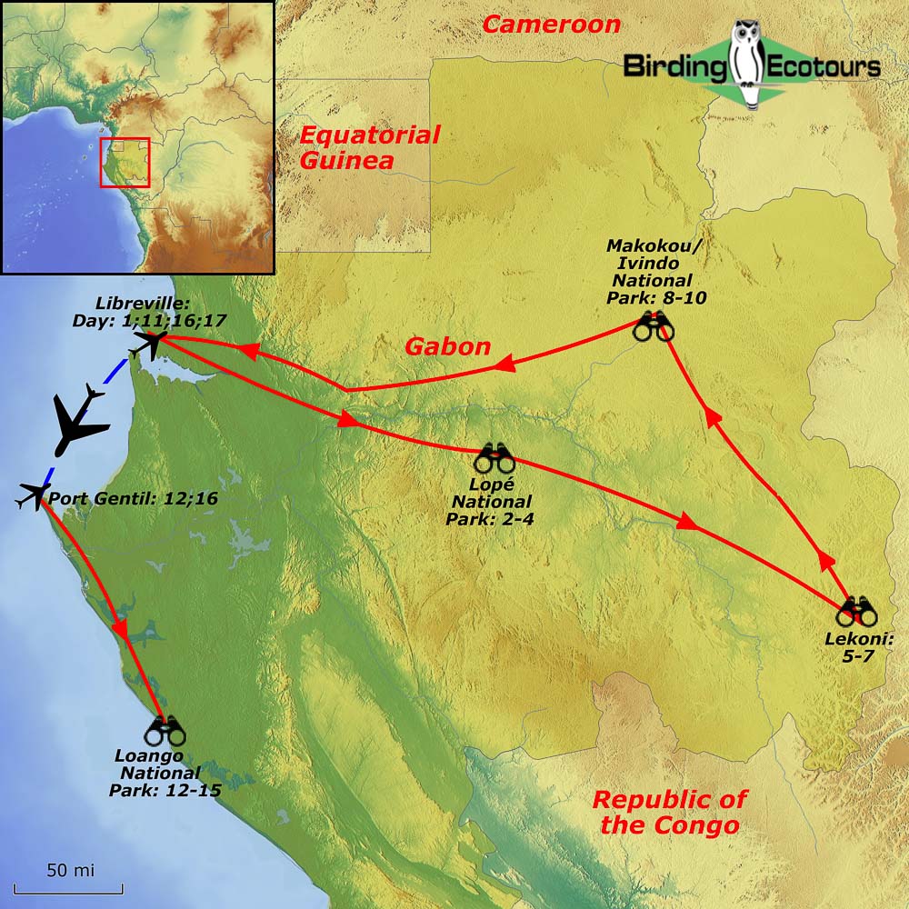 Map of birding tour in Complete Gabon — Rare Birds and Apes August 2024/2025