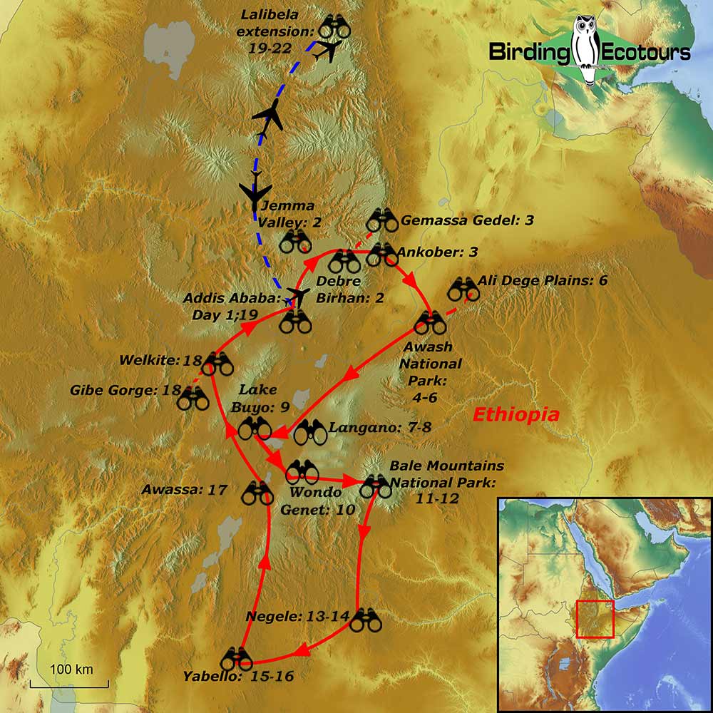 Map of birding tour in Ethiopia: Complete Abyssinia March 2025