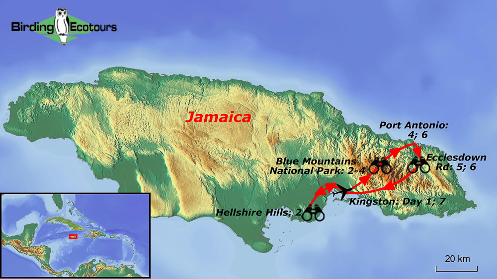 Map of birding tour in Jamaica: Island Endemics in the Heart of the Caribbean March 2025/2026