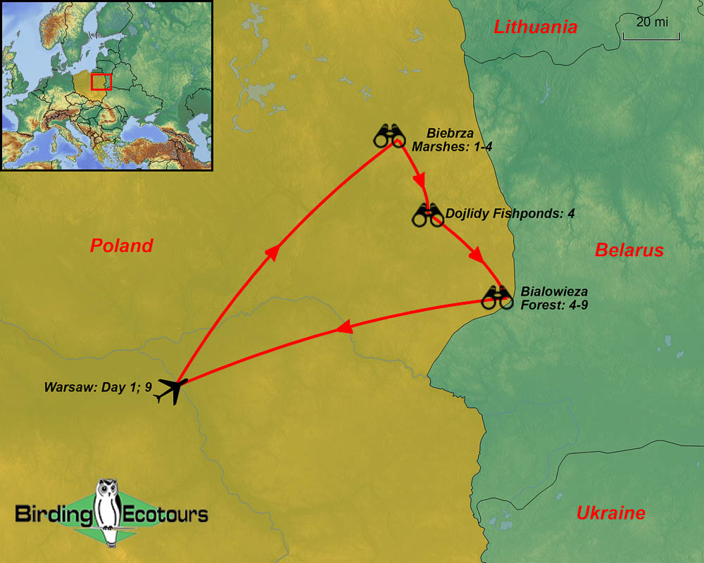 Map of birding tour in Poland: Poland: Spring Birding in Europe’s Ancient Forests and Marshes