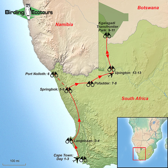 Map of birding tour in Western South Africa: Cape Endemics, Namaqualand Wildflowers & the Kalahari August 2024/2025