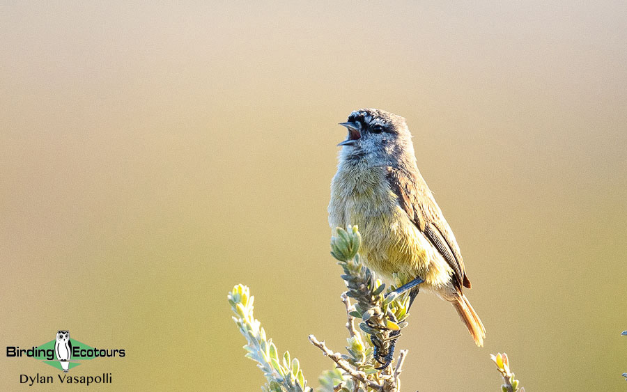 South African photographic tour