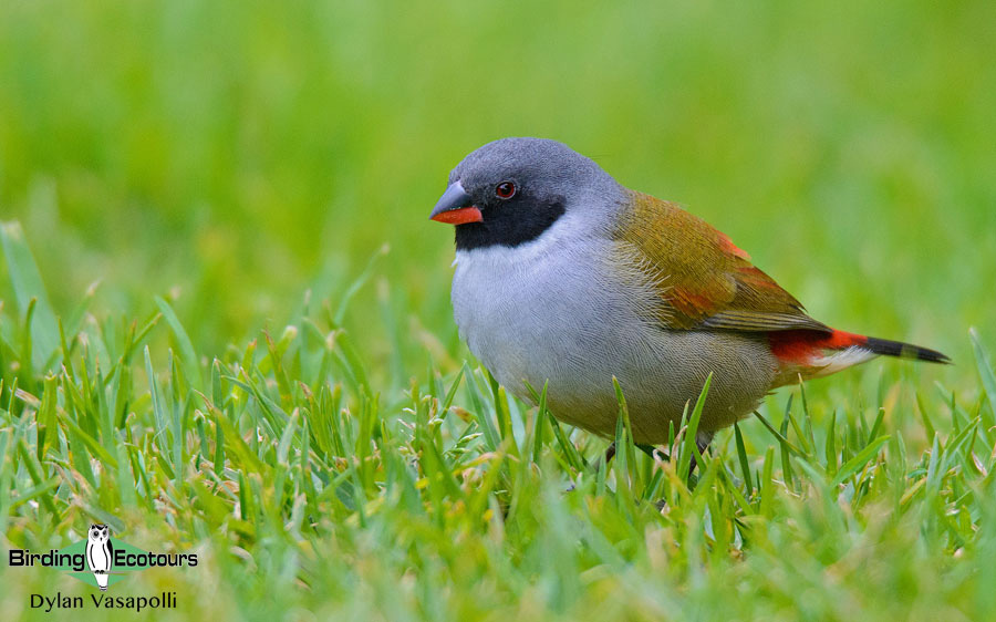 South African photographic tour