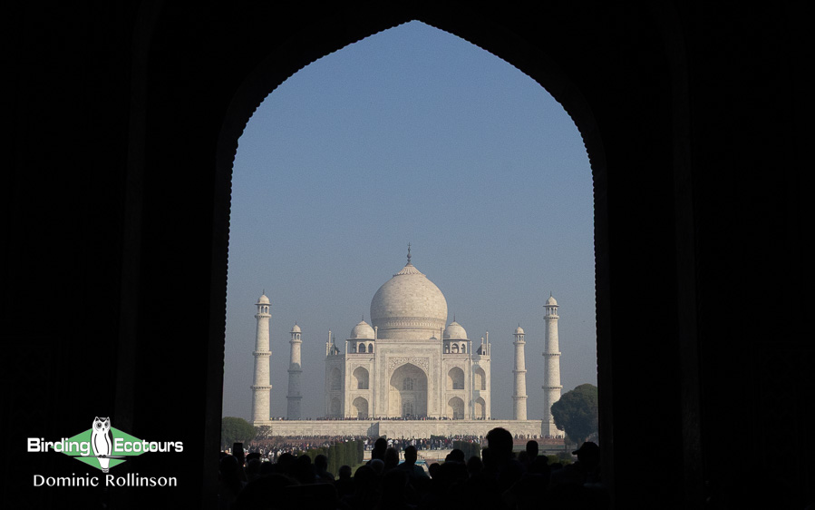 Northern India birding tour