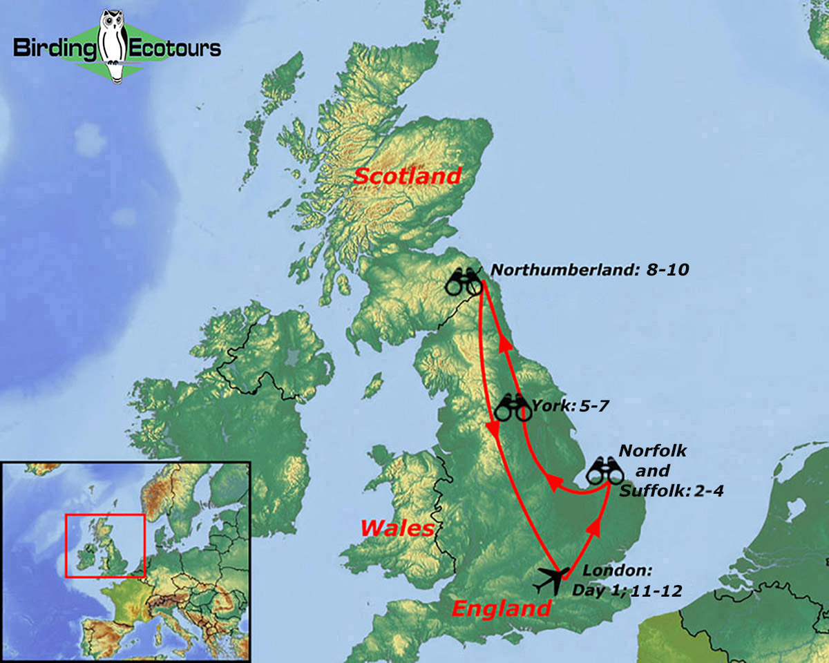 Map of birding tour in United Kingdom: England Fall Migration Special Tour October 2023/2024