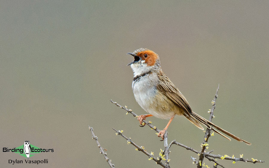 South African photographic tour