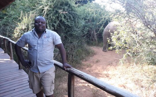 David-Letsoalo birdguide