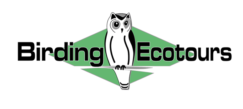 Birding Ecotours logo