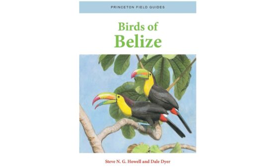 Bird book review: Birds of Belize