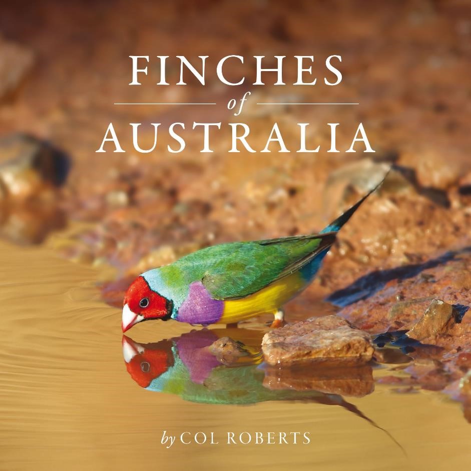 Finches of Australia