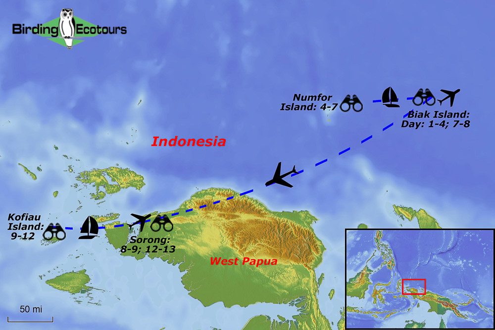 Map of birding tour in Indonesia: Biak, Numfor, & Kofiau – Stunning Paradise Kingfishers and Small-Island Endemics May 2024/2025