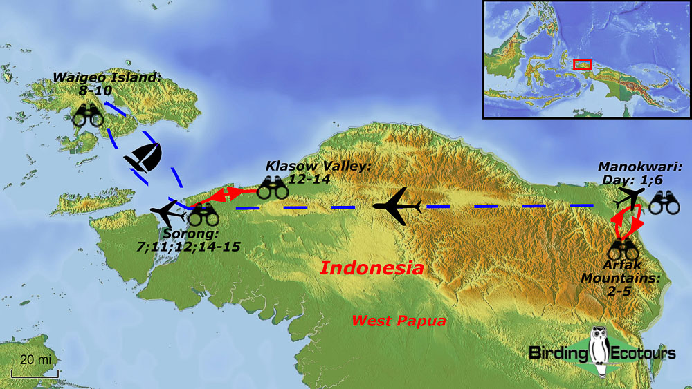 Map of birding tour in Indonesia: West Papua & Southwest Papua– Birds-of-paradise & Endemics of the Arfak Mountains, Waigeo Island & Klasow Valley August 2024/2025