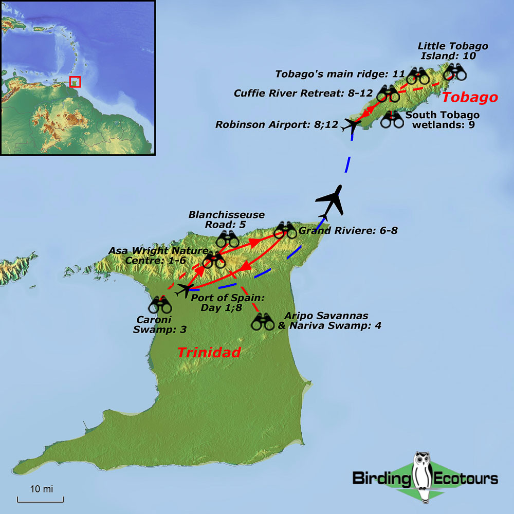 Map of birding tour in Trinidad and Tobago: An Introduction to Neotropical Birding November 2024/2025