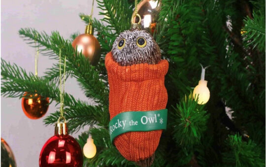Ravensbeard Wildlife Center blog