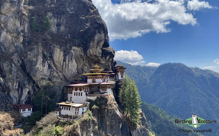 Bhutan in spring report