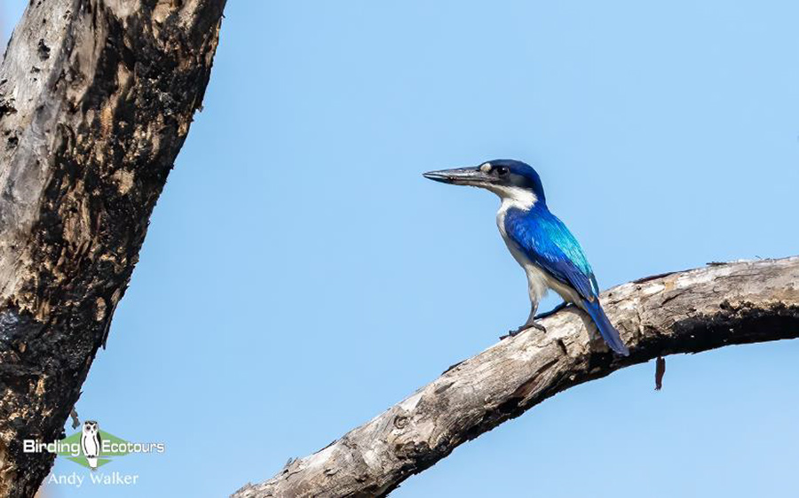 eastern australia report