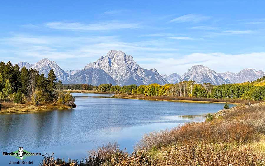 USA Wyoming birding report