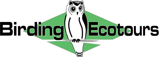 Birding Ecotours logo