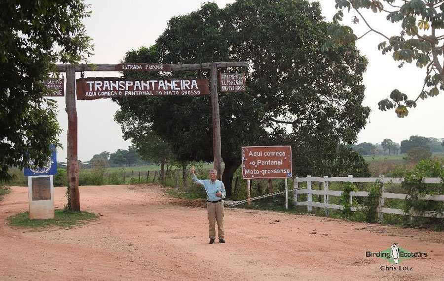 Brazil-Argentina birding report