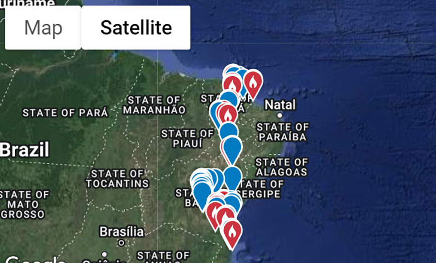 North-east Brazil endemics