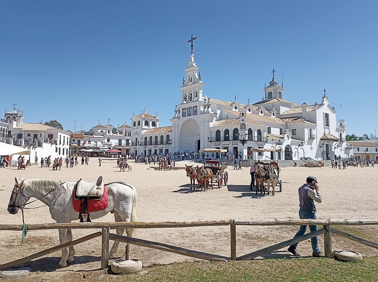 Spain: Spring Birding Extravaganza