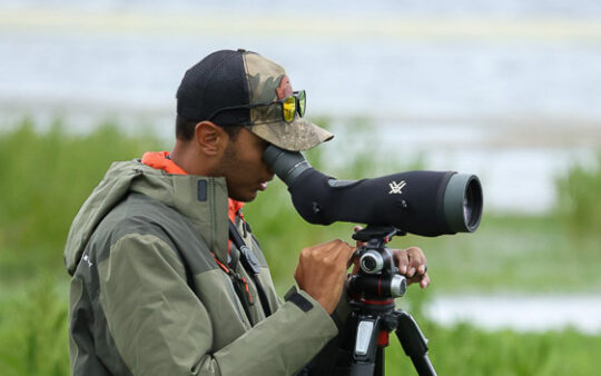 Joshua Olszewski birdguide