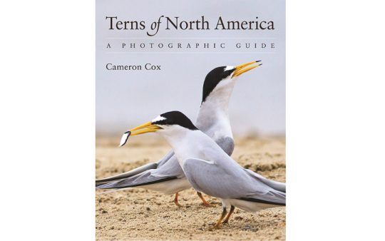 Bird book reviews