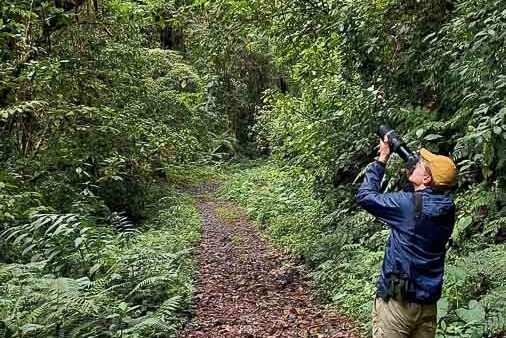 Daniel Engelbrecht birdguide