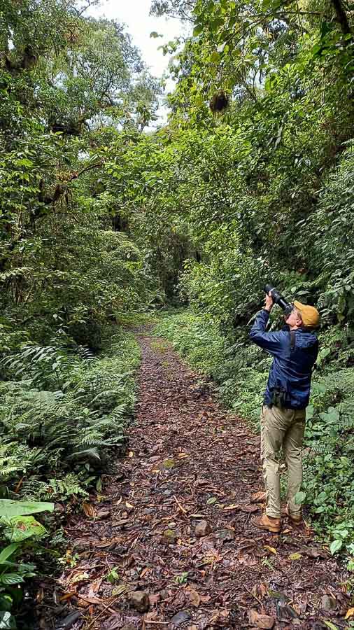 Daniel Engelbrecht birdguide