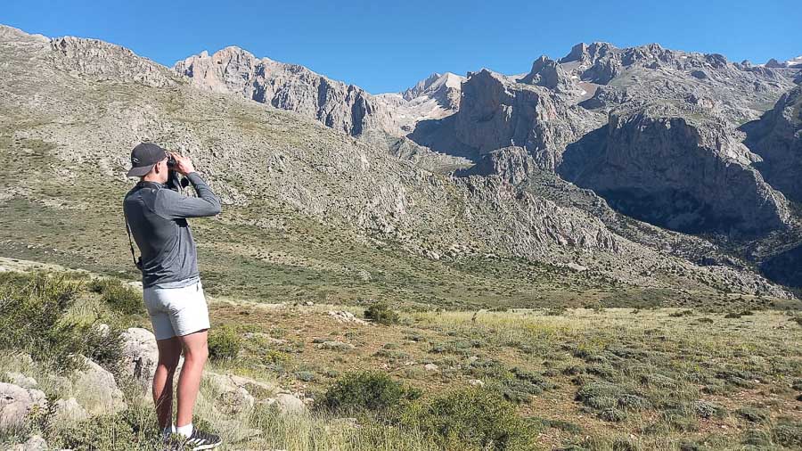 Daniel Engelbrecht birdguide