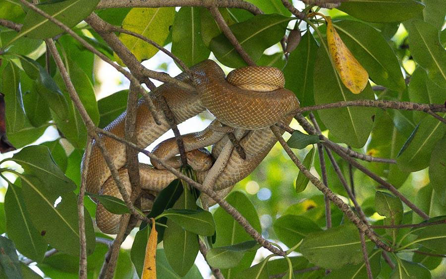 Trinidad and Tobago 