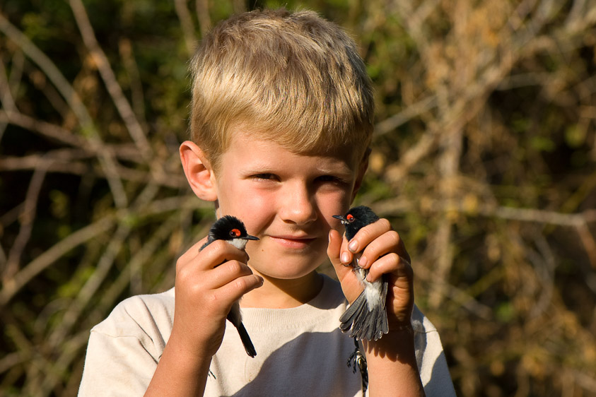 Daniel Engelbrecht birdguide