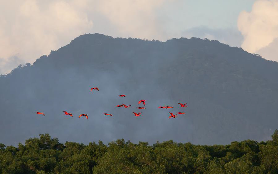 Trinidad and Tobago 