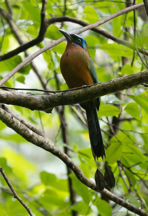 Trinidad and Tobago 