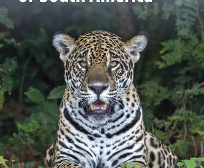 mammals of South America