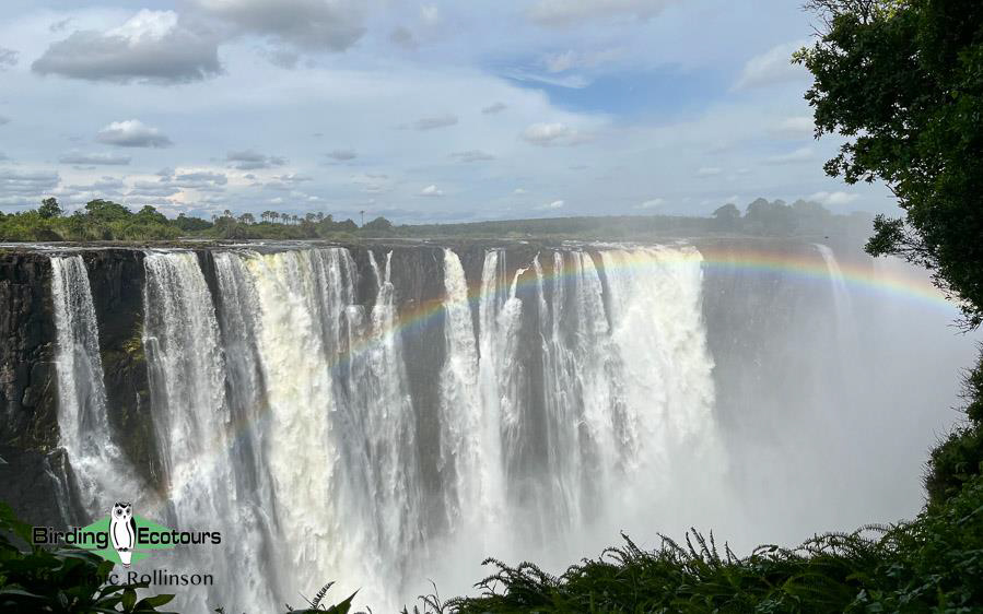Namibia, Botswana and Victoria Falls birding