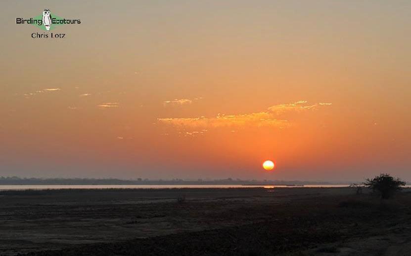 Northwest India birding tours