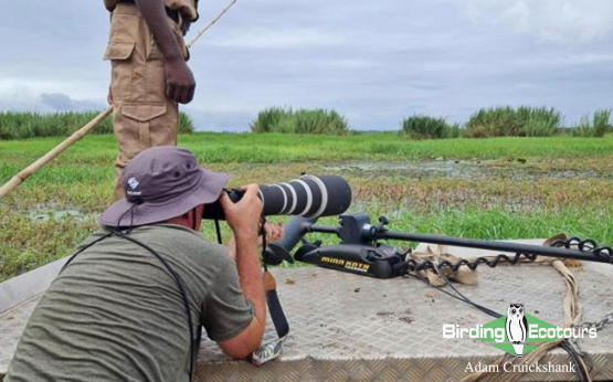 Adam Cruickshank Birding Ecotours
