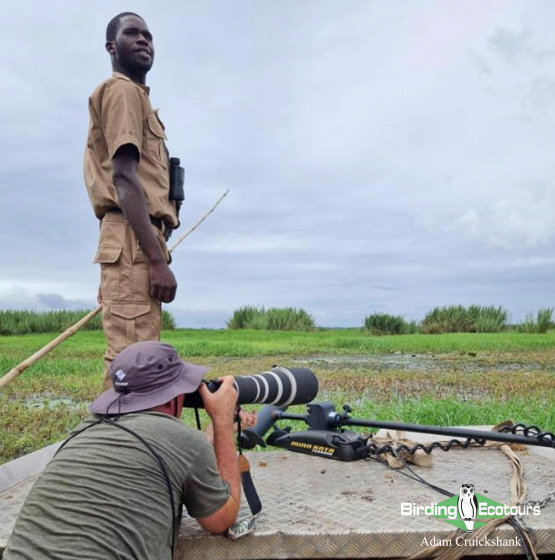 Adam Cruickshank Birding Ecotours