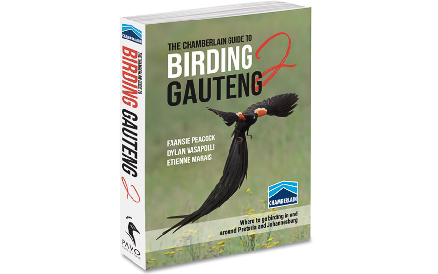 birding gauteng