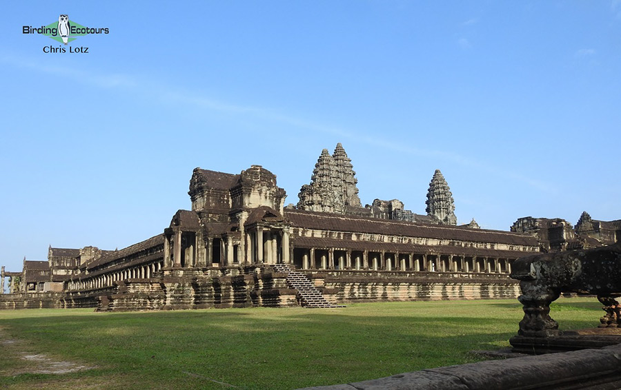 Cambodia birding tour report