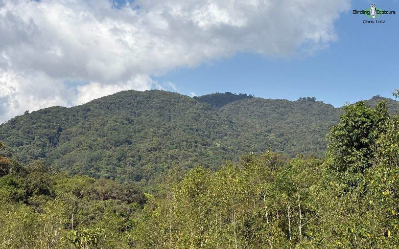 Birding Southern and Central Vietnam Trip Report