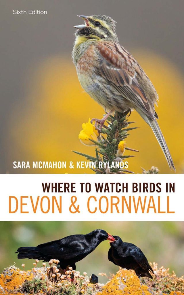 Where to watch birds in Devon & Cornwall