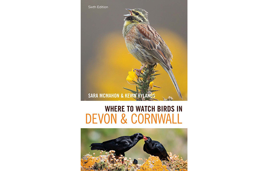 Where to watch birds in Devon & Cornwall