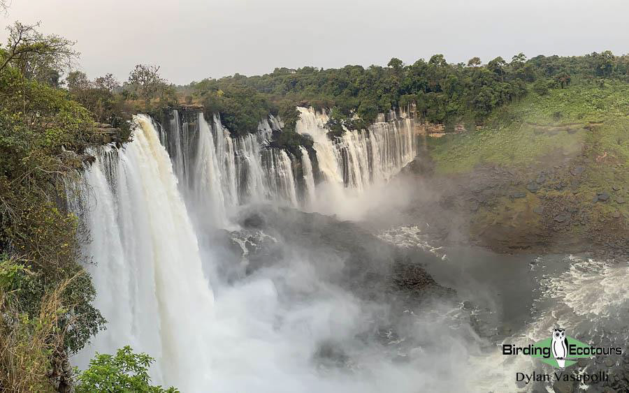 Angola Birding tour report